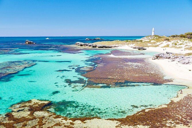 Fremantle to Rottnest Island Roundtrip Ferry Ticket - What Travelers Say About the Experience