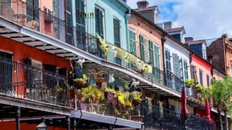 French Quarter Tour with Local Guide and Creole Stories - Who Will Enjoy This Tour?