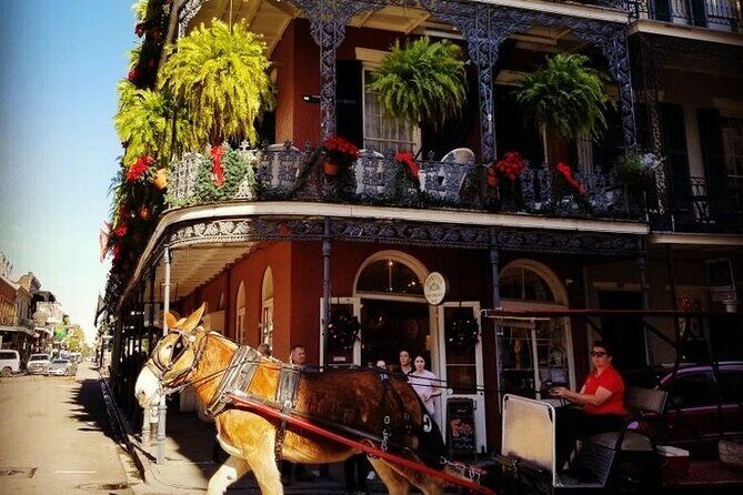 French Quarter Tour with Local Guide and Creole Stories - Discover the French Quarter with a Local Guide and Creole Stories