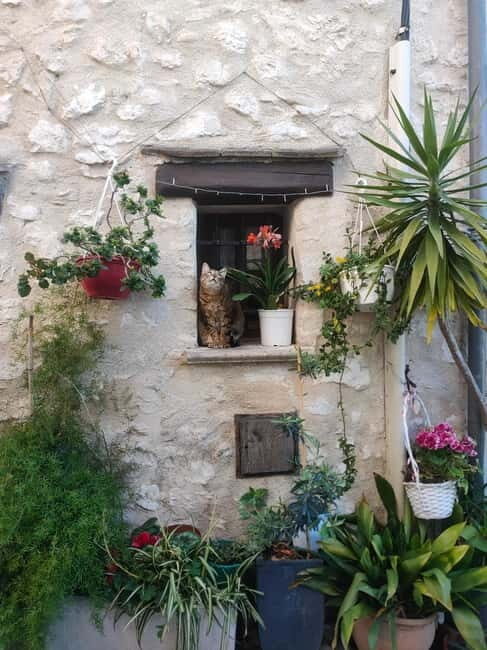 French Riviera Full Day Tour - Key Points