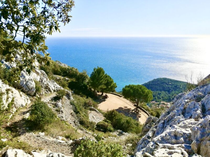 French Riviera Grand panoramic E-bike Tour From Nice - Who Is This Tour Best For?