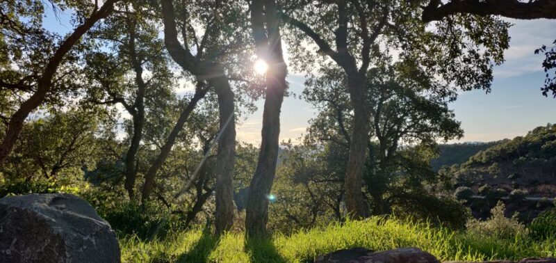 French Riviera : highlights & off the beaten path - Authentic Experiences & Practical Details