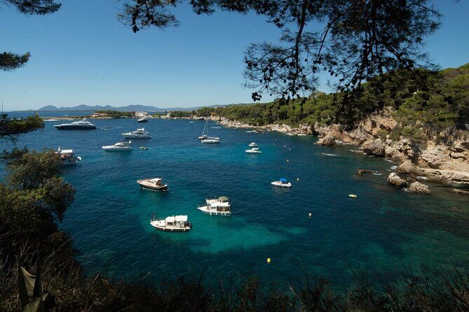 French Riviera West Coast - Cannes, Antibes, Juan les Pins, Biot - Authentic Experiences and Guides: What Travelers Say