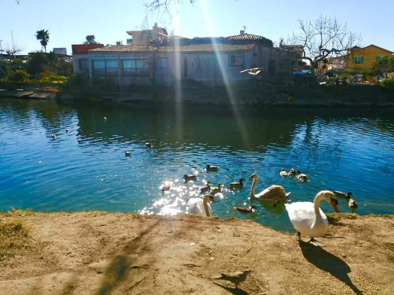 French Riviera's Jewels - E-Bike Tour Antibes - Saint-Paul - An Authentic Slice of the French Riviera on Two Wheels