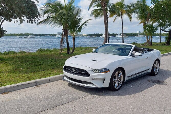 French tour of Miami in convertible mustang - An Authentic Miami Journey in a Convertible Mustang