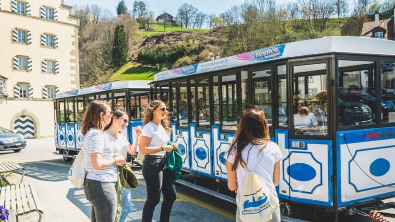 Fribourg City Card with Free Public Transport - Authentic Experiences from Reviews