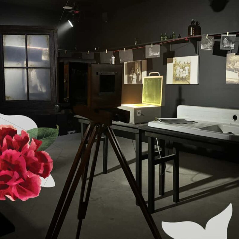 Frida Kahlo: Live Art Experience - Tulum - The Sum Up