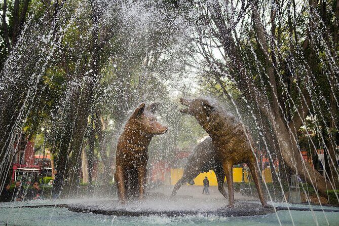 Frida Kahlo Museum with an expert - Final Thoughts