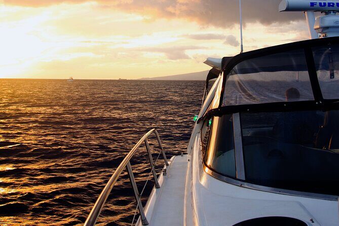 Friday Fireworks Cruise in Oahu, Hawaii - Practical Details and Tips for Future Guests