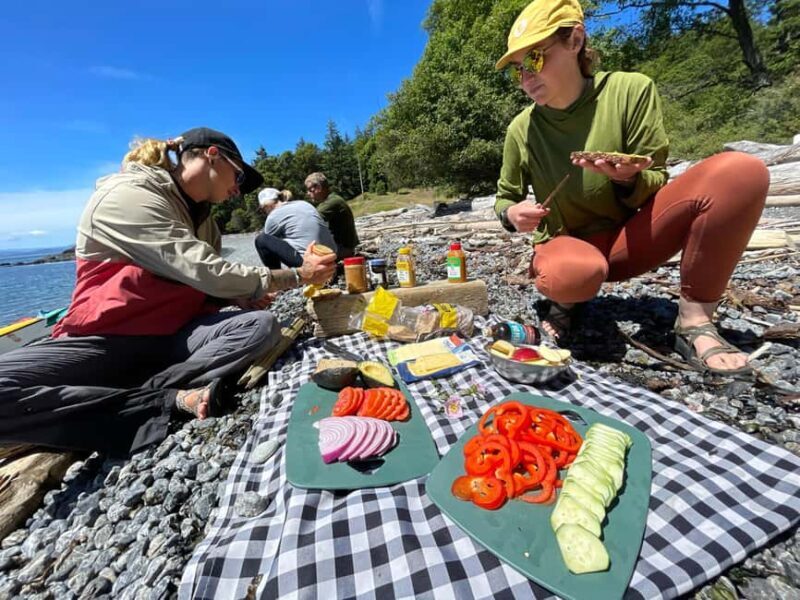 Friday Harbor: Half-Day Family Kayaking and Hiking Tour - A Close Look at the Experience: What to Expect