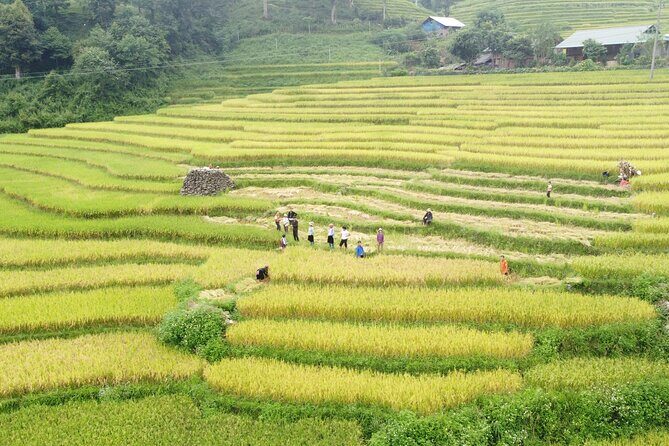 Friendly Sapa Village: 2 Days of Cultural Exchange & Trekking - FAQ