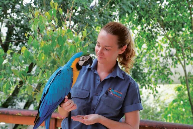 Friends in the Rainforest Package: Koala Gardens & Birdworld - Exploring the Friends in the Rainforest Package: Koala Gardens & Birdworld