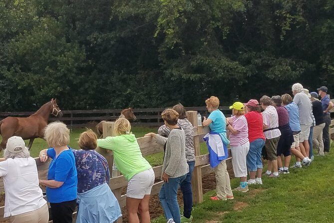 Friesian Herd Tours, Workshops, Classes and Retreats in the Kettle Moraine area. - Exploring the Friesian Herd Tours in Wisconsin: A Close-Up with Rare Horses