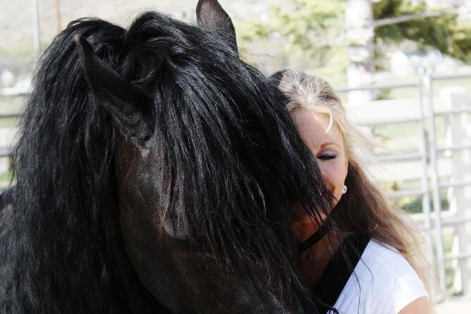 Friesian Herd Tours, Workshops, Classes and Retreats in the Kettle Moraine area. - What Makes This Tour Special?