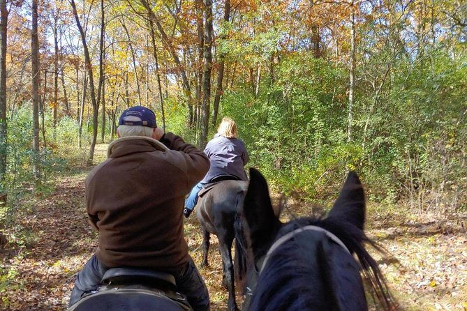 Friesian Herd Tours, Workshops, Classes and Retreats in the Kettle Moraine area. - Who Would Love It?