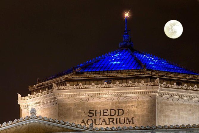 Fright Hike: Chicago Halloween Bike Tour - The Sum Up: Is the Fright Hike Halloween Bike Tour Worth It?