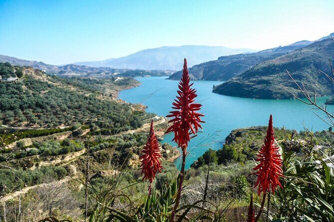 Frigiliana, Nerja Cave and The Balcony of Europe Private Tour - Authentic Experiences from the Reviews