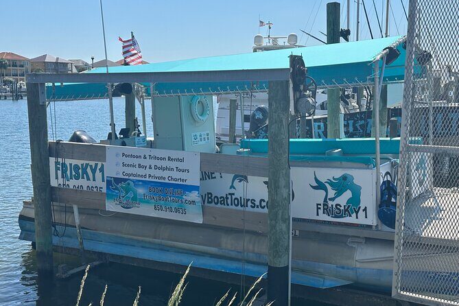 Frisky Mermaid Dolphin Tour + Secluded Beach + Equip - Final Thoughts: Is It Worth It?