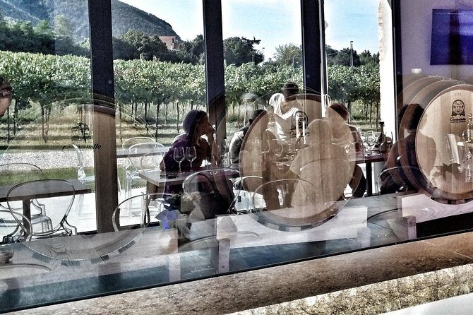 From Abano Montegrotto, Wine Tour in the Euganean Hills - Frequently Asked Questions