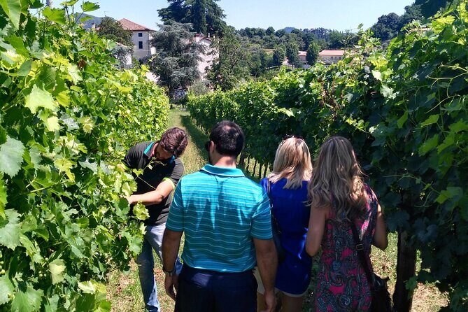 From Abano Montegrotto, Wine Tour in the Euganean Hills - Final Thoughts