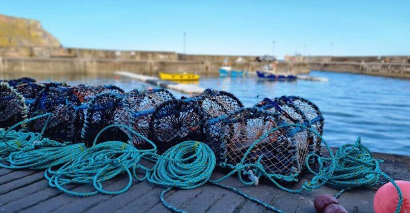 From Aberdeen: Coastal Villages of Aberdeenshire Tour - The Practicalities: What to Expect