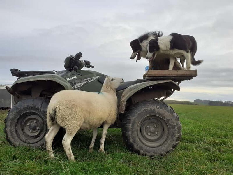 From Aberdeen: Luxury Aberdeenshire and Speyside tours. - FAQs