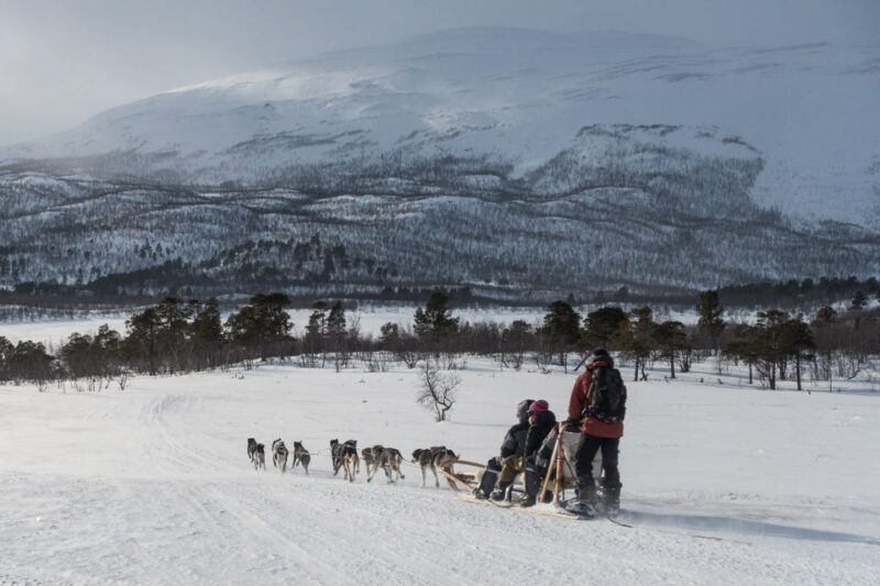 From Abisko: Dog Sledding Excursion to Kiruna with Fika - The Route and Itinerary Overview