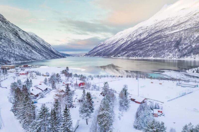 From Abisko: Narvik City and Fjord Day Trip - Who Is This Tour Best Suited For?