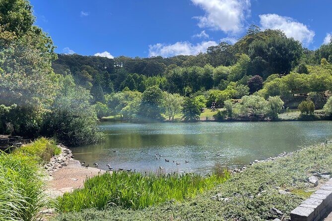 From Adelaide: 5 to 7 People Personal Tour - Who Should Consider This Tour?