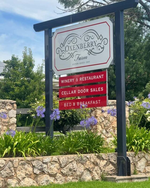 From Adelaide: McLaren Vale Wine Experience - Key Points