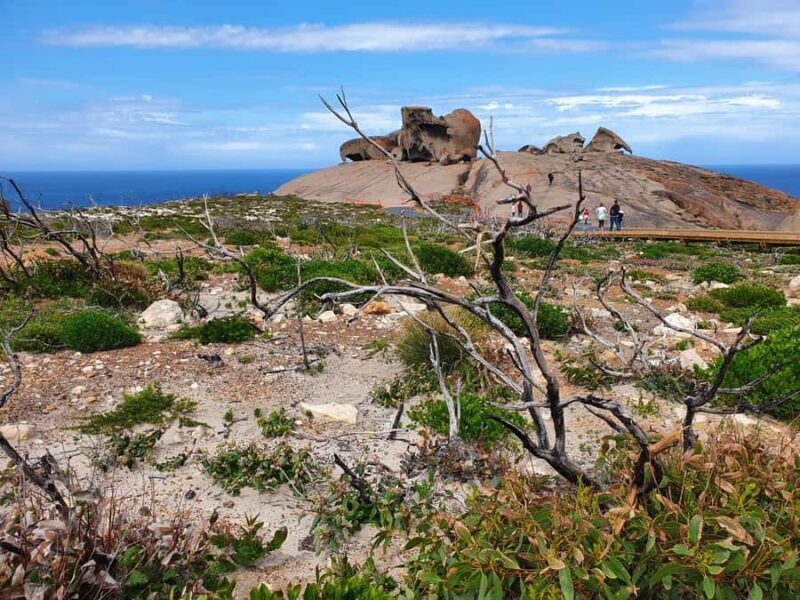 From Adelaide: Premium 2-Day Kangaroo Island Minibus Tour - What’s Included and What’s Not