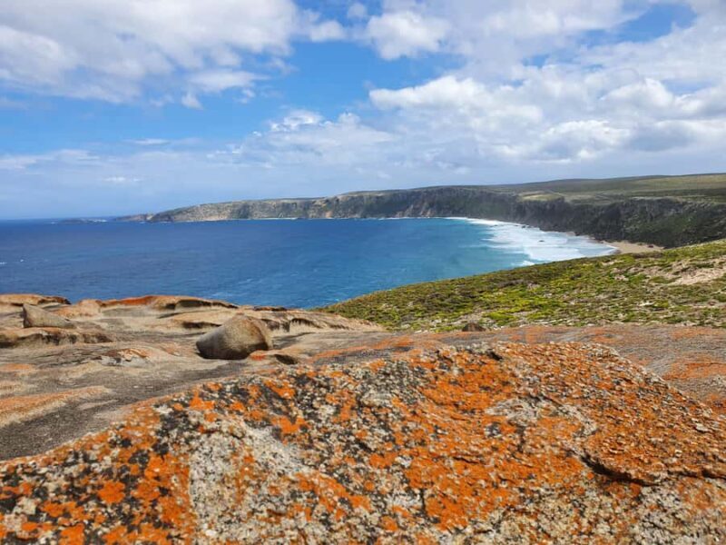 From Adelaide: Premium 2-Day Kangaroo Island Minibus Tour - Authentic Experiences and Review Highlights