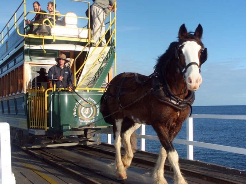 From Adelaide: Victor Harbor & Hahndorf Day Tour - Transportation and Group Size