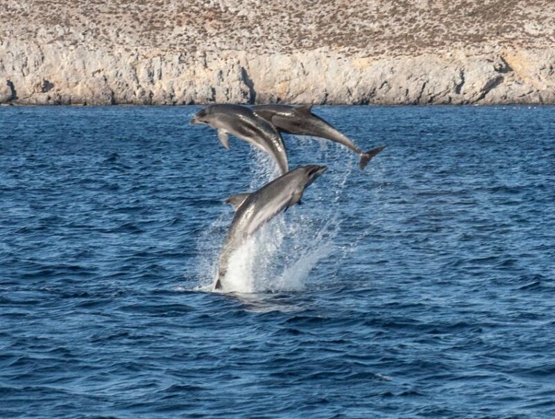 From Ag Anna: Rina's Cave and Ano and Kato Koufonisi Cruise - FAQ