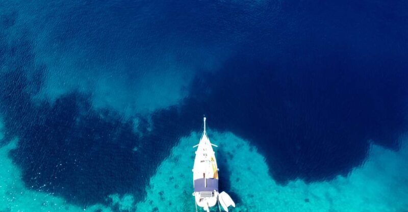 From Agia Efimia: All Inclusive Sailing Day Trip to Ithaca - An In-Depth Look at the Experience