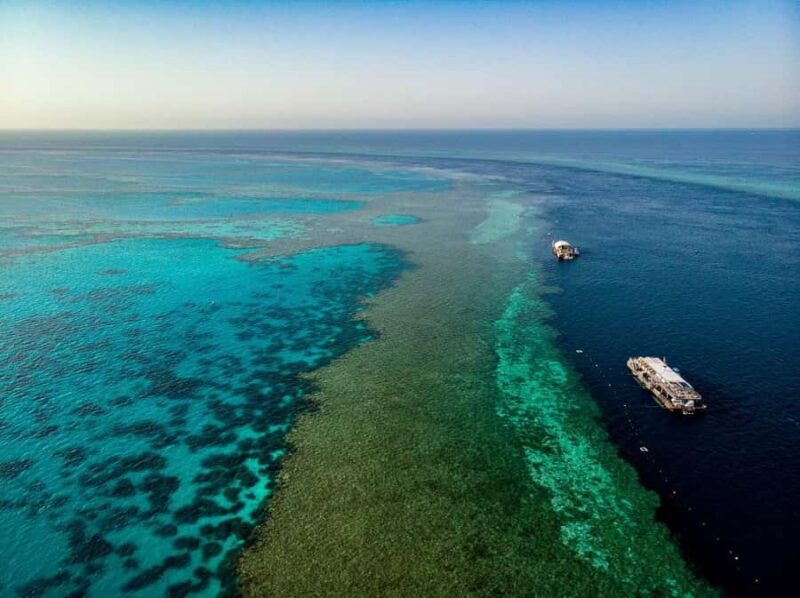 From Airlie Beach: Great Barrier Reef Adventure Cruise - Authentic Experiences from Travelers’ Reviews