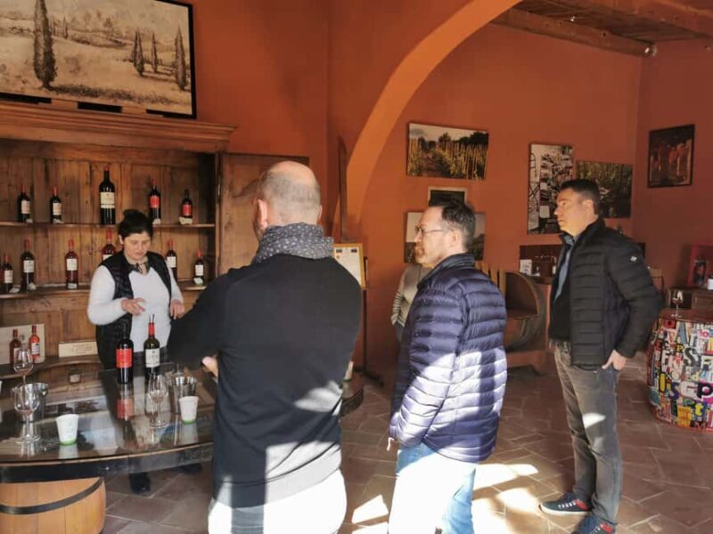 From Aix-en-Provence: 2-Hour Wine & Scenery Sidecar Tour - The Practical Details & Tips