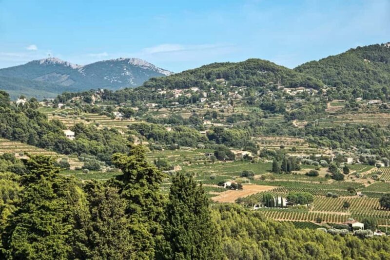 From Aix en Provence: Bandol & Cassis Full-day Wine Tour - An In-Depth Look at the Tour Experience