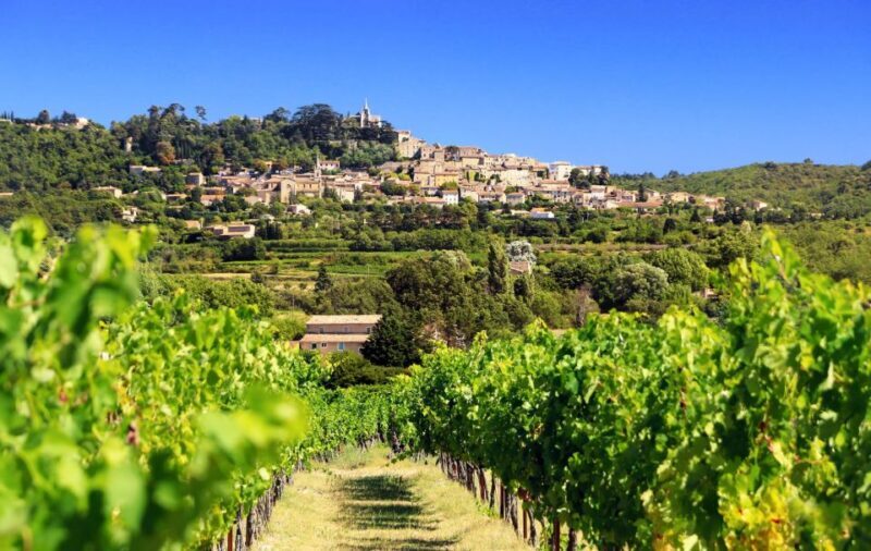 From Aix-en-Provence: Châteauneuf du Pape Wineries Day Trip - Key Points