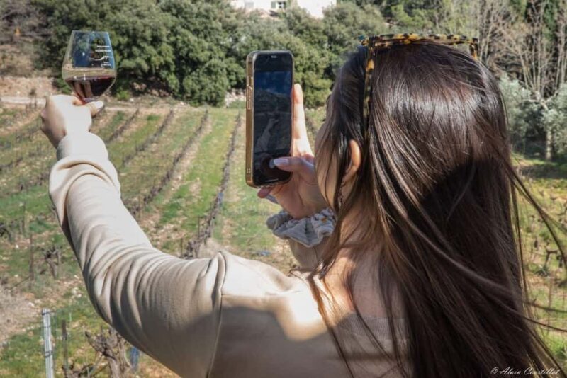 From Aix-en-Provence : Half-day Sidecar Wine Tour - Exploring Vauvenargues: Picasso’s Final Home