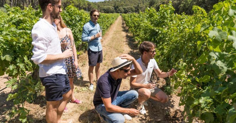 From Aix-en-Provence: Half-day Wine Tour Cezanne Countryside - Key Points