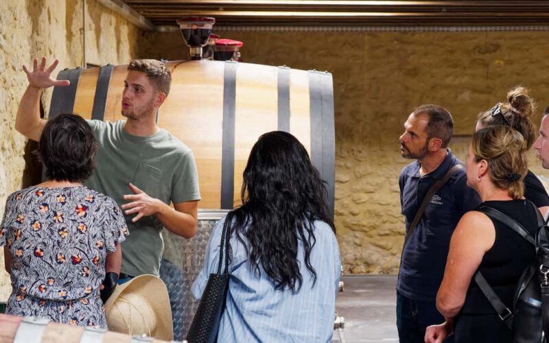 From Aix-en-Provence: Half-day Wine Tour Cezanne Countryside - The Value of the Tour: Analyzing What You Get