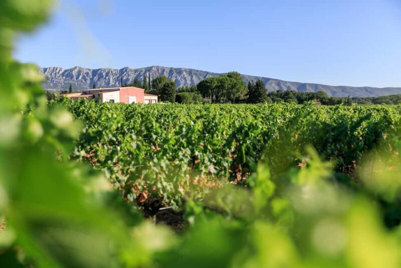 From Aix en Provence: Half-day Wine Tour in Provence - Key Points