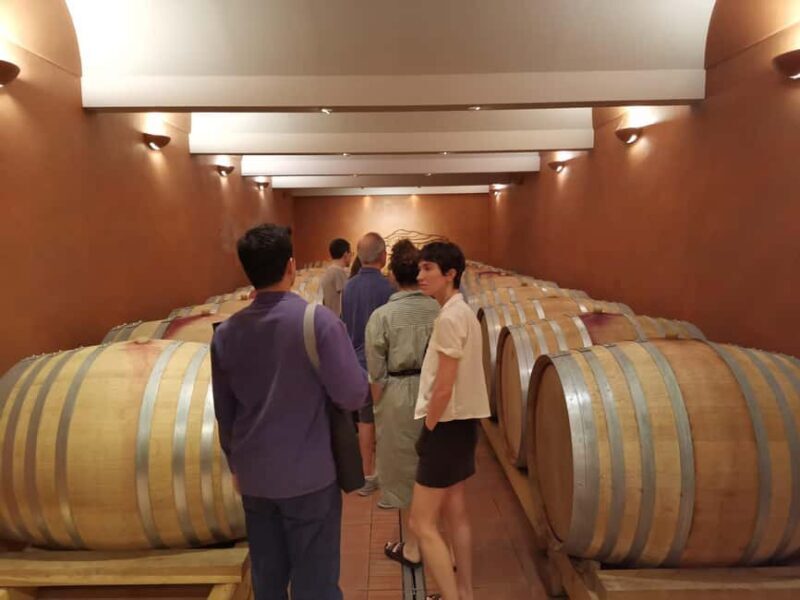 From Aix en Provence: Half-day Wine Tour in Provence - A Detailed Look at the Experience