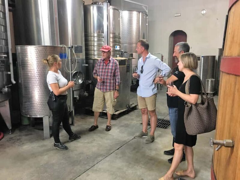 From Aix en Provence: Half-day Wine Tour in Provence - The Sum Up