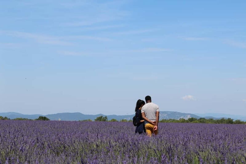 From Aix-en-Provence : Sunset Lavender Tour in Valensole - The Experience in Detail