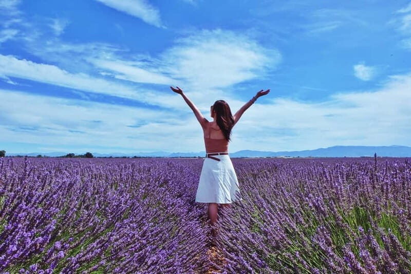 From Aix-en-Provence : Sunset Lavender Tour in Valensole - Pricing and Value