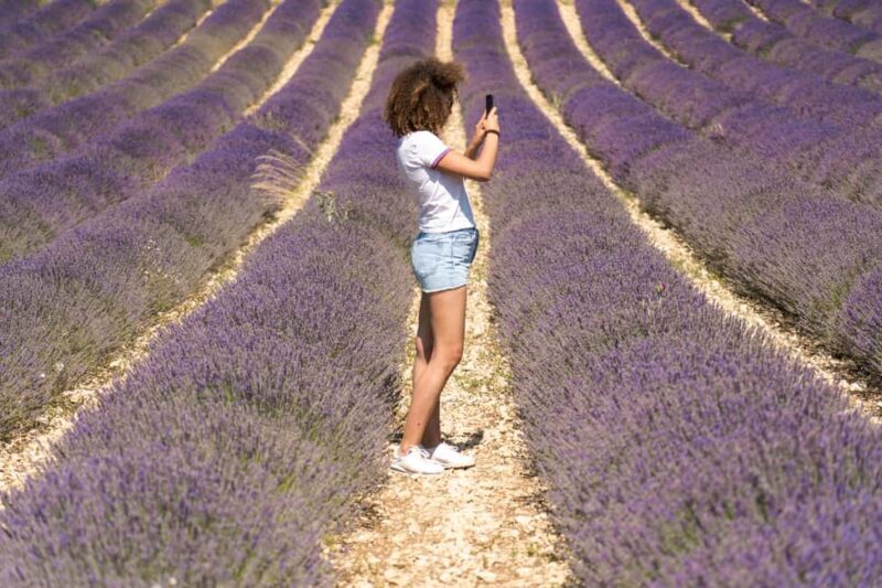 From Aix-en-Provence : Sunset Lavender Tour in Valensole - Frequently Asked Questions