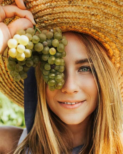 From Aix-en-Provence: Wine Tasting at Sainte-Victoire - Key Points