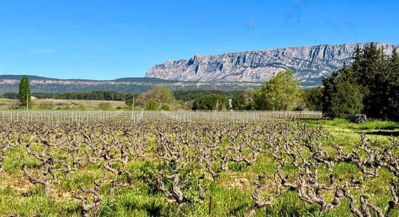 From Aix-en-Provence: Wine Tasting at Sainte-Victoire - What Makes This Tour Stand Out?